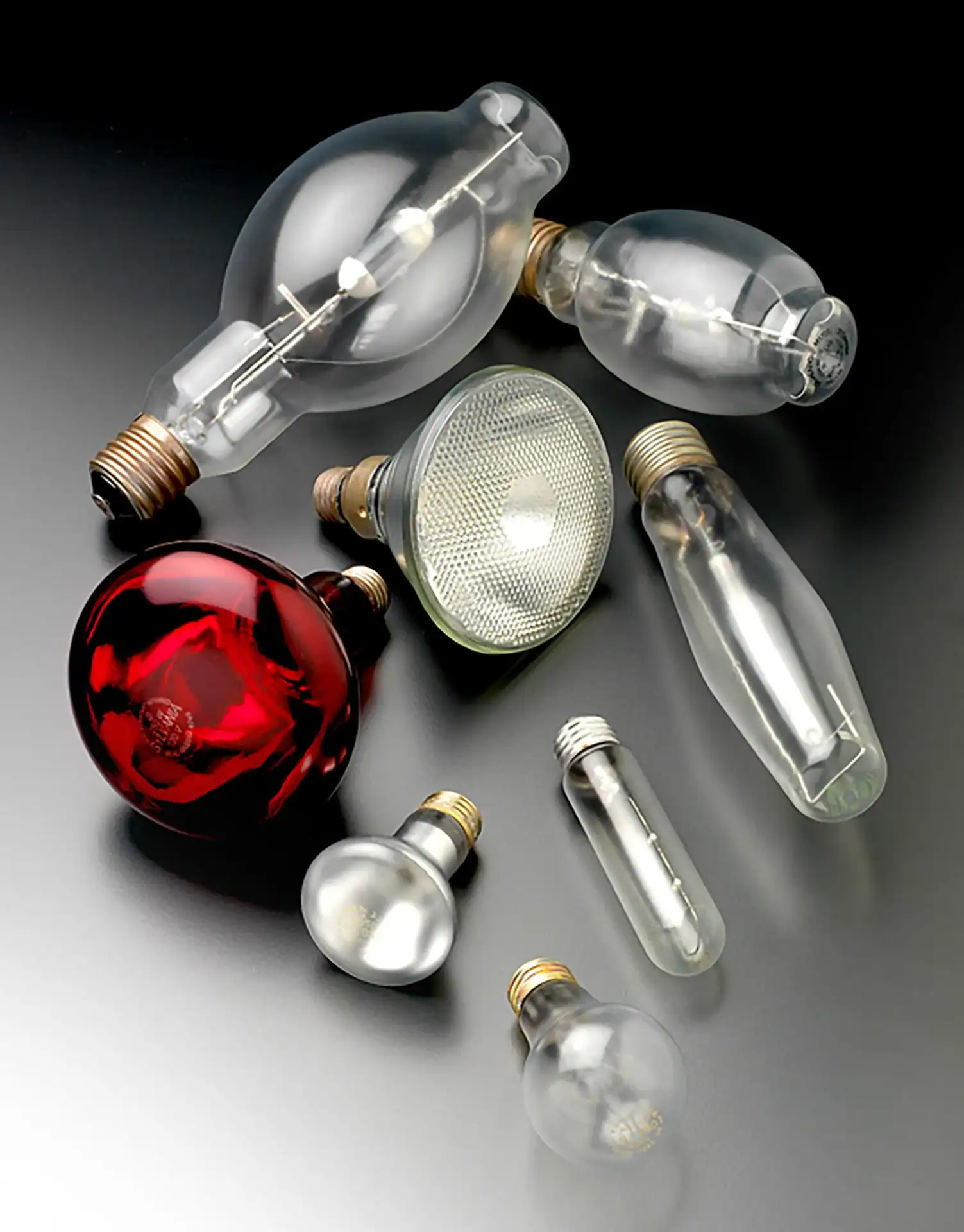 A variety of seven different light bulbs, including clear, frosted, red, and reflector bulbs, are arranged on a dark gradient background—perfect for showcasing photography services in Harris County, TX. Each bulb varies in shape and size.
